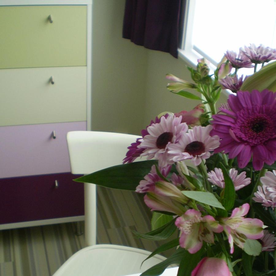 B&B 52 Louvain Extérieur photo